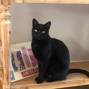 Meet your Posher, Silvia